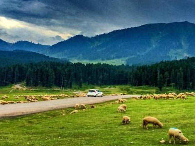 Urbania Tempo Traveller Srinagar